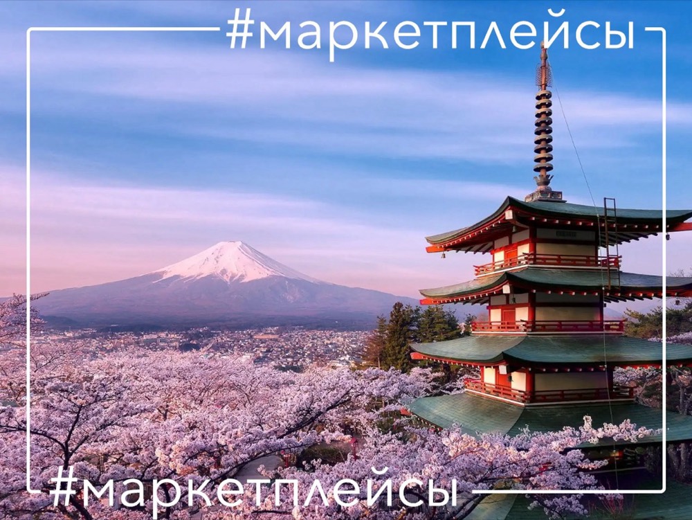 Япония - четвертый по величине рынок электронной коммерции